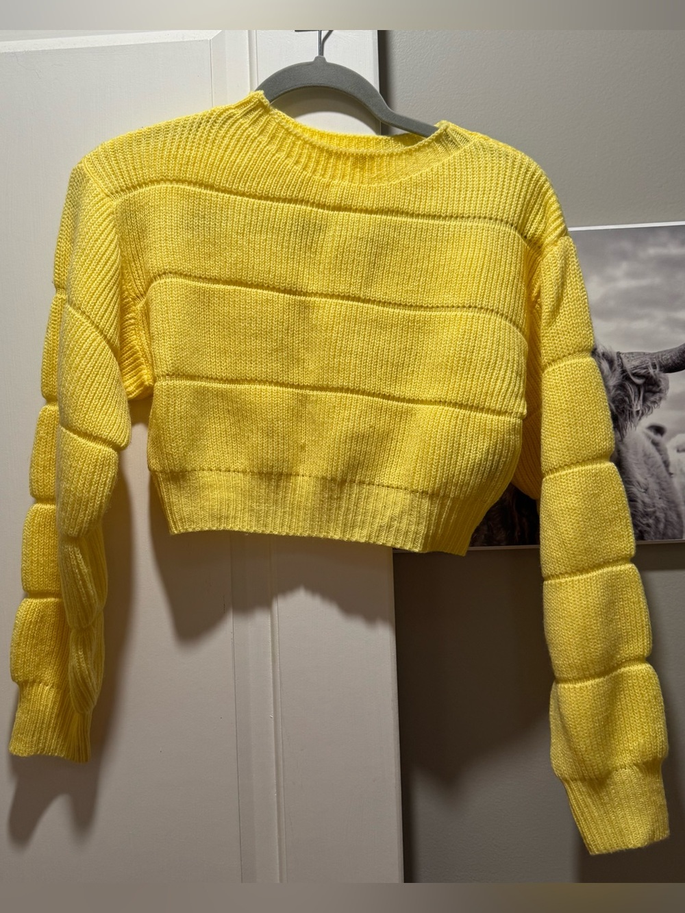 Shein ribbed knit crop sweater
